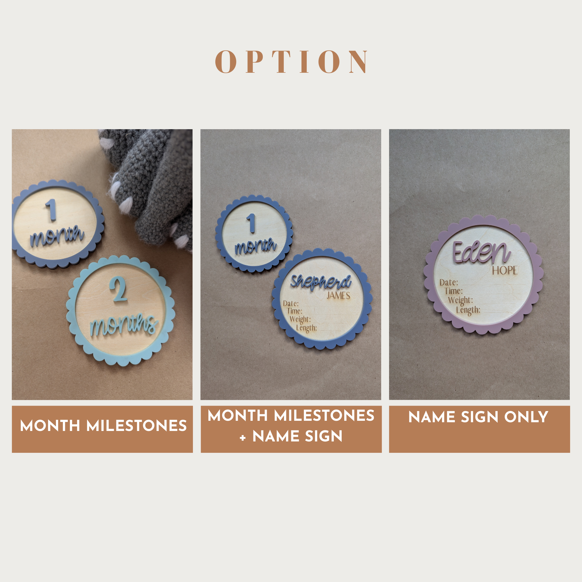 Personalized Baby Milestone Discs — 3 Discs For 12 Months