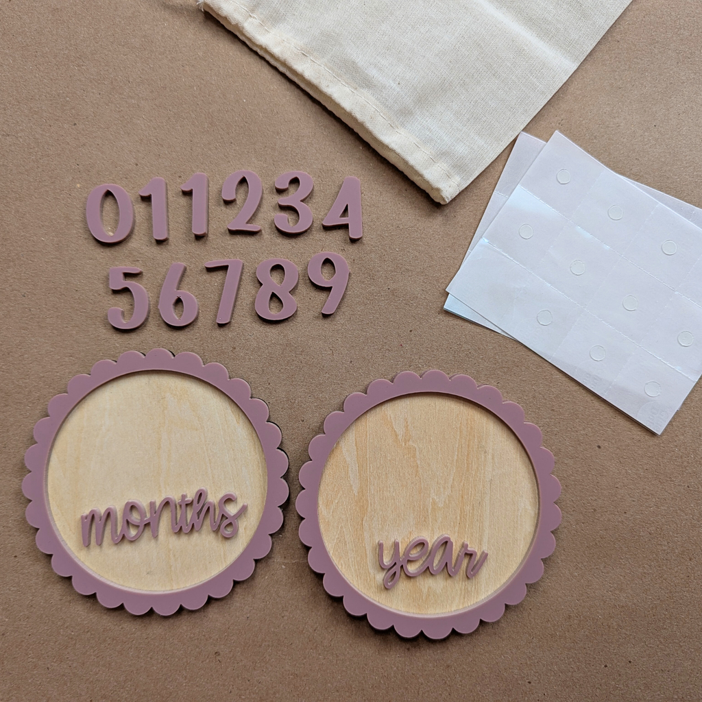 Personalized Baby Milestone Discs — 3 Discs For 12 Months