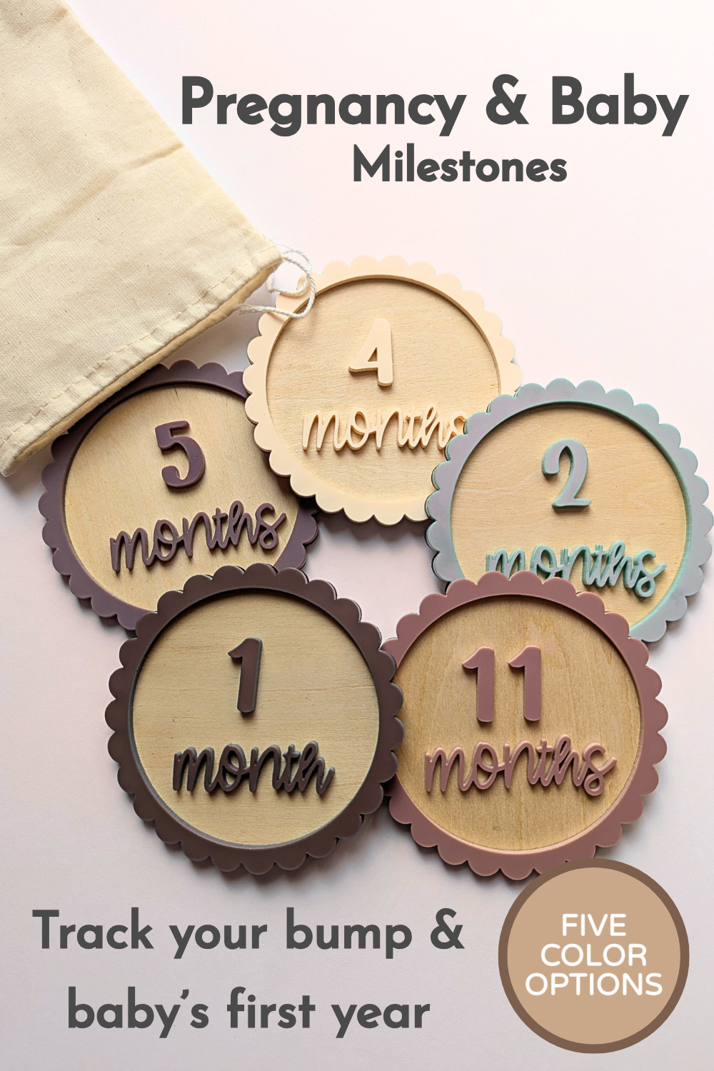 Personalized Baby Milestone Discs — 3 Discs For 12 Months