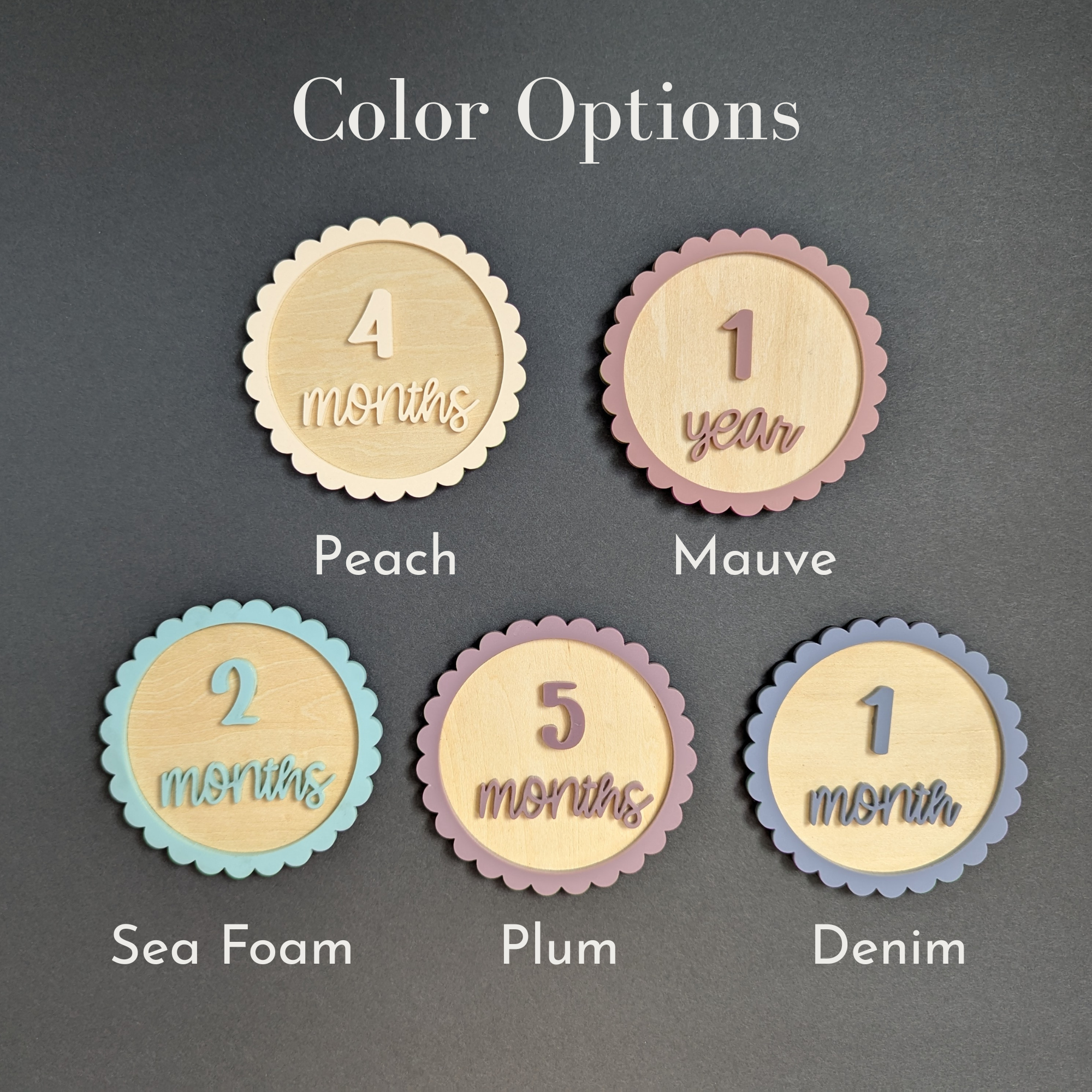 Personalized Baby Milestone Discs — 3 Discs For 12 Months